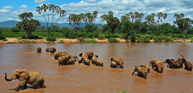 Tarangire National Park