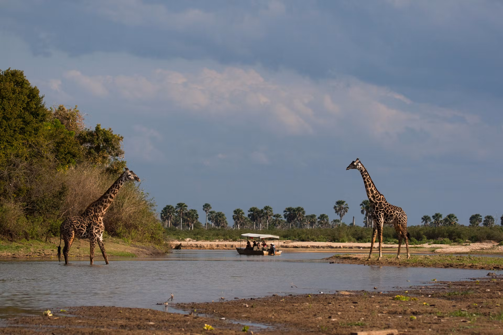Nyerere National Park