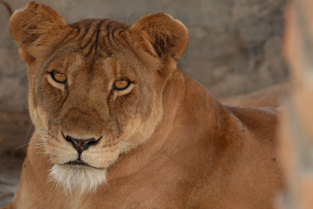 queen elizabeth national park
