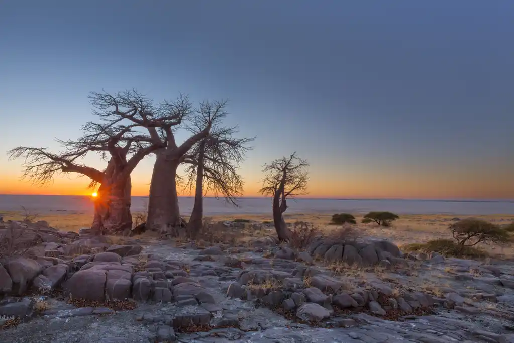 Makgadikgadi Pans & Nxai Pan National Park