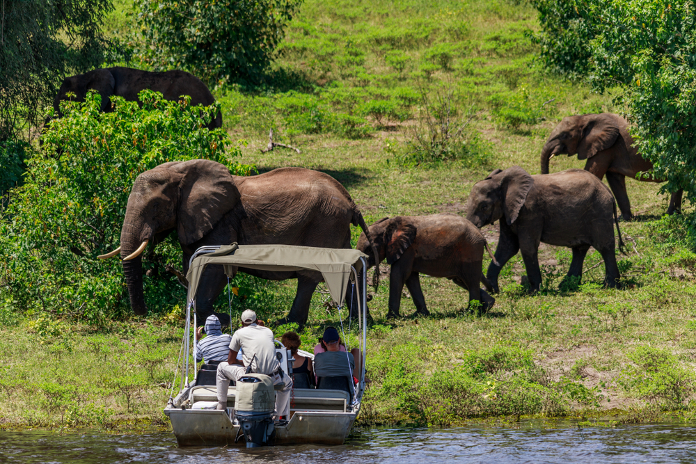 Chobe Day Trip from Victoria Falls
