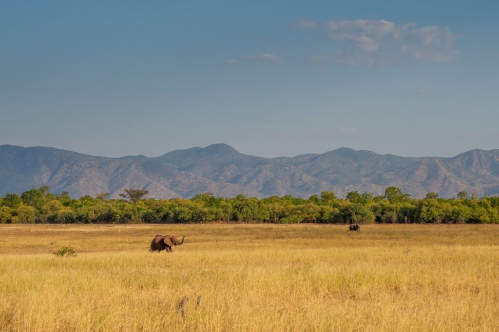 Lake Kariba & Matusadona National Park