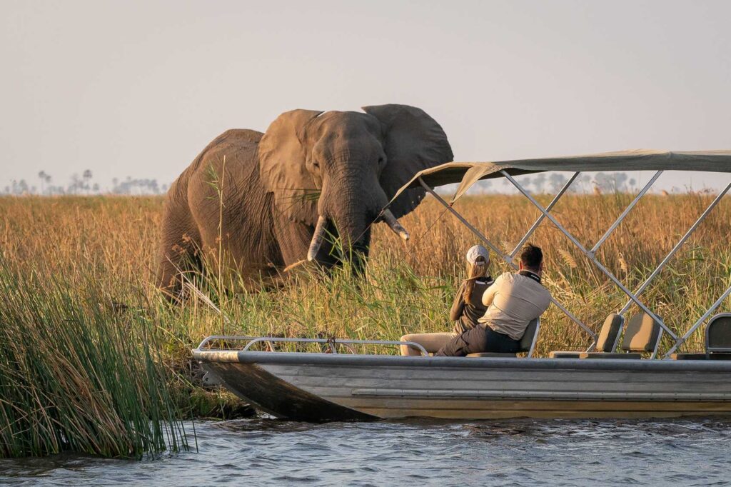 Okavango Delta