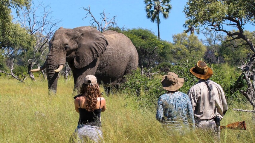 Best Time to Visit Hwange National Park 