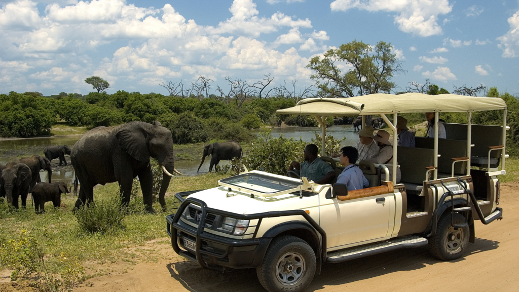 Chobe National Park Entry Fees