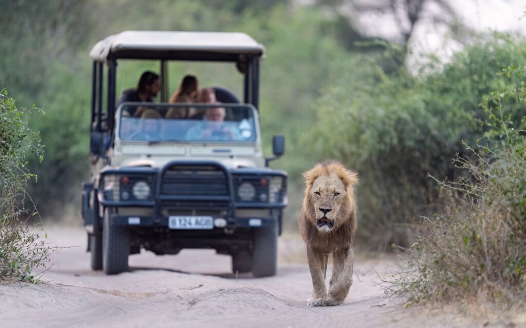 Chobe National Park Entry Fees