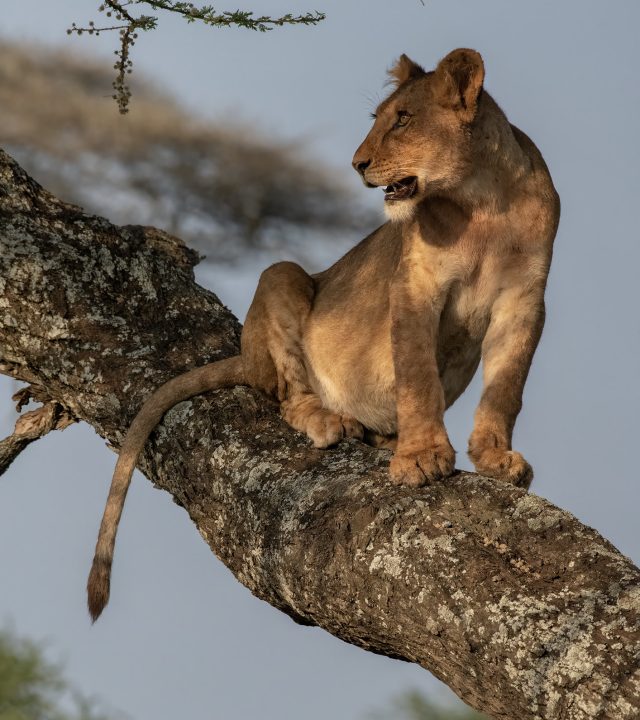 54720517234_cd68c2de34_k